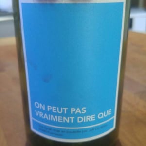On Peut Pas Vraiment Dire Que - Mas Coutelou - jean-francois-coutelou