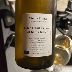 Once I had a choice of being better - Anders Frederik Steen & Anne Bruun Blauert - Anders Frederik Steen & Anne Bruun Blauert -2021