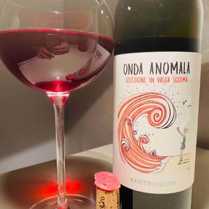 Onda Anomala - Controvento - Vincenzo Di Meo 
