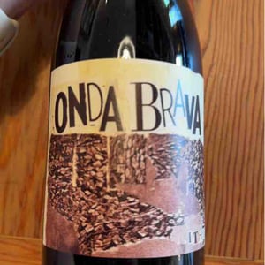 Onda Brava - Cinsault (X Dani Rozman, La Onda)) - A Los Viñateros Bravos / Onda Brava - leonardo-erazo