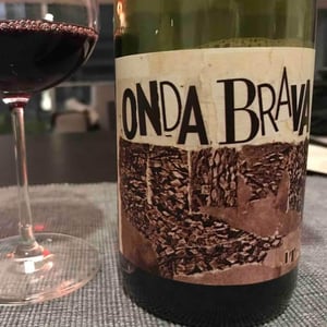 Onda Brava - Cinsault (X Dani Rozman, La Onda)) - A Los Viñateros Bravos / Onda Brava - leonardo-erazo