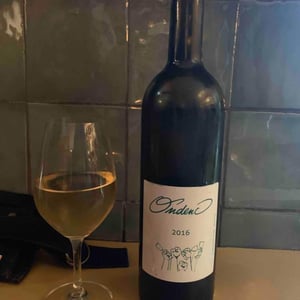 Ondenc - Domaine Plageoles - Bernard, Florent & Romain Plageoles 