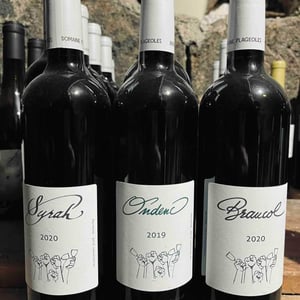 Ondenc - Domaine Plageoles - bernard-florent-romain-plageoles