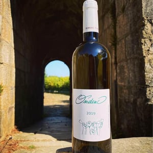 Ondenc - Domaine Plageoles - bernard-florent-romain-plageoles