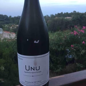 Unu - Domaine Vaccelli - Nathalie & Gérard Courrèges 