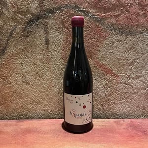 Dâya - La Spanda - virginie-maignien