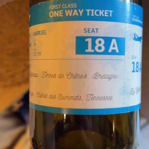 One Way Ticket - Le Haut Planty - alain-christian-couillaud