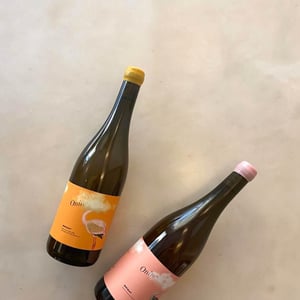 Oniric Brisat - Celler Entre Vinyes - maria-barrena-josep-tort-montserrat