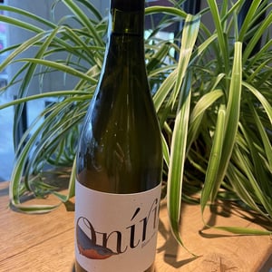 Oniric - Celler Entre Vinyes - maria-barrena-josep-tort-montserrat