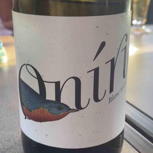 Oníric Rosat - Celler Entre Vinyes - maria-barrena-josep-tort-montserrat -2021