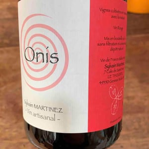 Sylvain Martinez - Sylvain Martinez - Onis