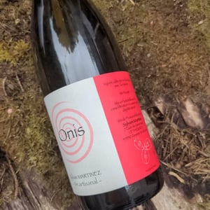 Sylvain Martinez - Sylvain Martinez - Onis