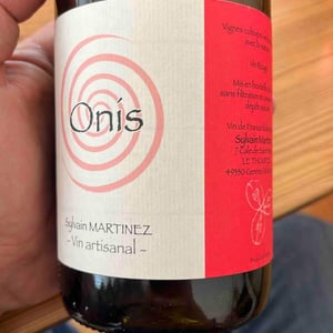 Sylvain Martinez - Sylvain Martinez - Onis