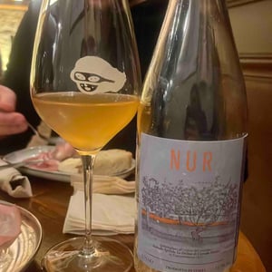 Nur - La Distesa - corrado-dottori