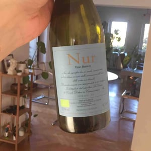 Nur - La Distesa - Corrado Dottori 