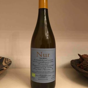 Nur - La Distesa - Corrado Dottori 