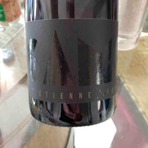 SAMO Rouge - Château Saint Salvadou - etienne-fort-monsieur-s