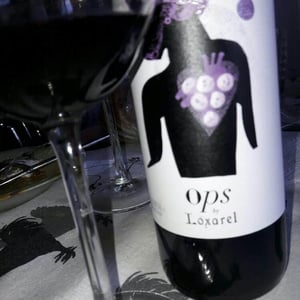 Ops - Loxarel - Josep Mitjans 