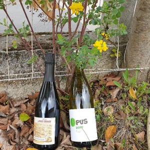 Opus - Domaine Gross - Rémy & Vincent Gross 