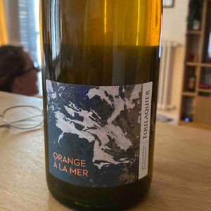 Orange à la mer - Mas Foulaquier - Pierre Jequier & Blandine Chauchat -2021