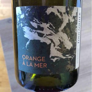 Orange à la mer - Mas Foulaquier - pierre-jequier-blandine-chauchat -2021