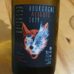 Orange Blossom - Chapuis & Chapuis - Romain & Jean-Guillaume Chapuis 