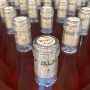 Orange - Bodegas Cueva - mariano-taberner