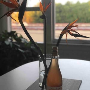 Orange - Bodegas Cueva - Mariano Taberner 