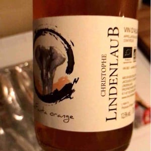 Lindenlaub - Christophe Lindenlaub - Elefanta Orange