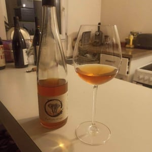 Elefanta Orange - Lindenlaub - Christophe Lindenlaub 