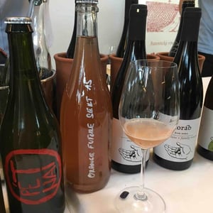 Orange Future Sekt - Vinařství Petr Koráb - Petr Koráb 