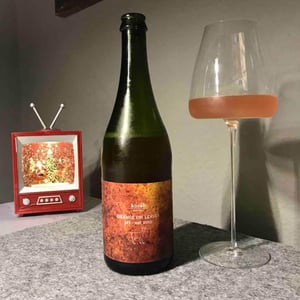 Orange Future Sekt - Vinařství Petr Koráb - petr-korab