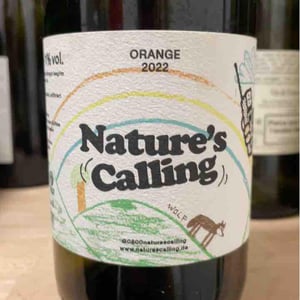 Orange Grauburgunder 2020 - Weingut Seckinger - philipp-jonas-seckinger -2020