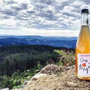 Orange is the New White - Maceration - Domaine Kleinknecht - andre-kleinknecht