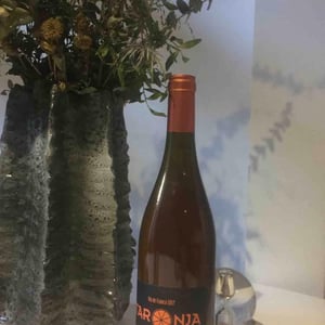 Taronja - Domaine des Sarradels - remi-synadinos-koval