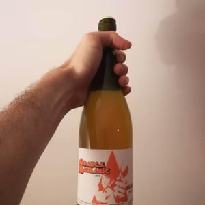 Es d'Aqui - Jean-Louis Pinto - Orange Mauzanic