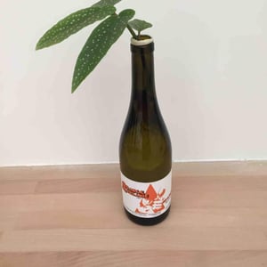 Orange Mauzanic - Es d'Aqui - jean-louis-pinto