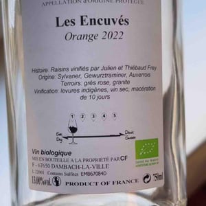 Orange - Charles Frey - dominique-julien-et-thiebaud-frey -2022