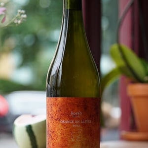 Orange On Leaves Pet Nat - Vinařství Petr Koráb - petr-korab -2021