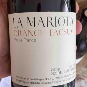 Orange Tacsum - La Mariota - Cecilia Diaz & Guillermo Campos Baeza 