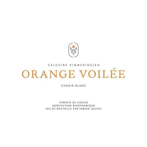 Orange Voilée (en grès) 2021