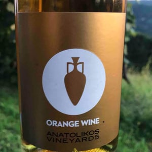 Orange Wine - Anatolikos Vineyards - Sakis & Marios Nikolaidis 