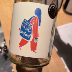 Orange Wine Drinker - Viña Echeverría - Quasar Wines - Roberto, Viviana, Paulina & Diego Echeverría -2020