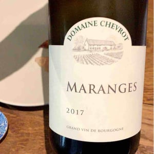 Maranges - Domaine Chevrot - vincent-pablo-chevrot