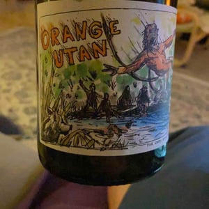 Orange Utan 2018