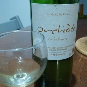 Orchidée - Domaine des Cailloutis - patricia-bernard-fabre