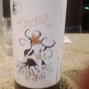 Orchis - Les Hauts De Riquets - Ivan & Léa Bireaud 