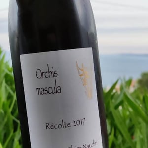 Domaine Henri Naudin-Ferrand - Claire Naudin - Orchis Mascula