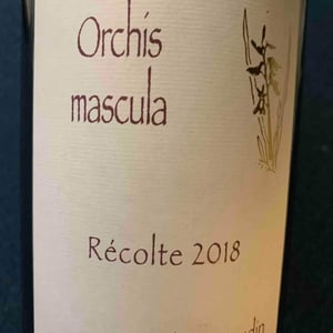 Orchis Mascula 2018