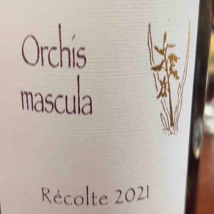 Orchis Mascula - Domaine Henri Naudin-Ferrand - claire-naudin